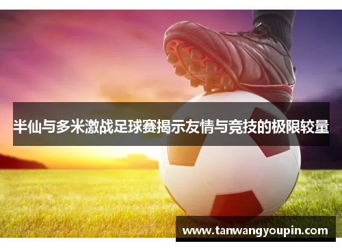 半仙与多米激战足球赛揭示友情与竞技的极限较量