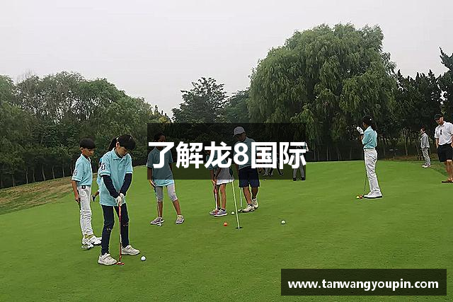 了解龙8国际